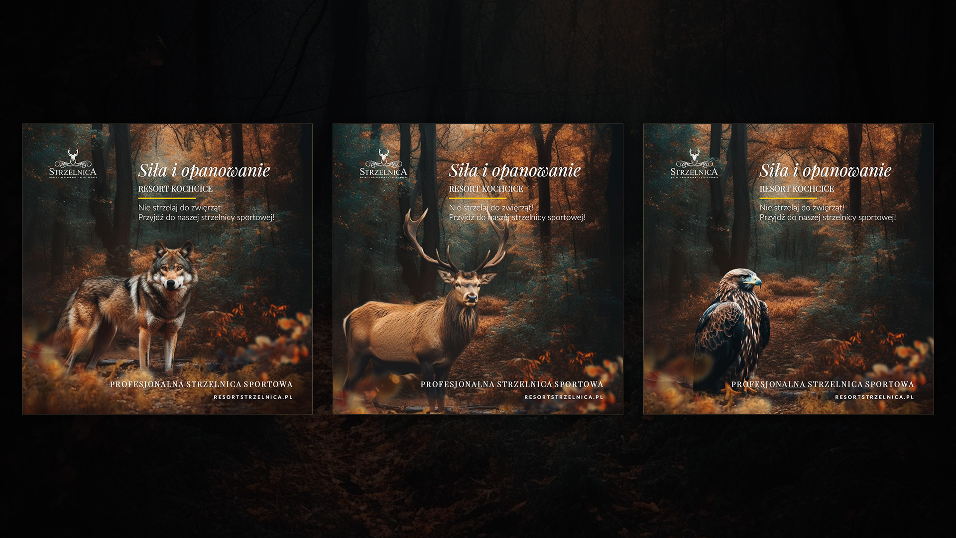 Strzelnica Family Resort & SPA - Communication concept 2023