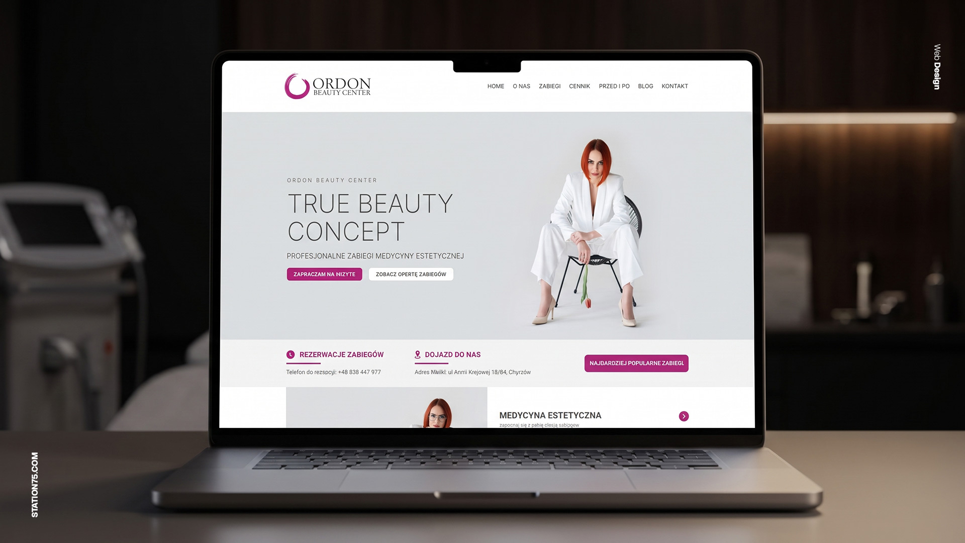 Web design & development vol. 2 - Selected websites 2010-2018