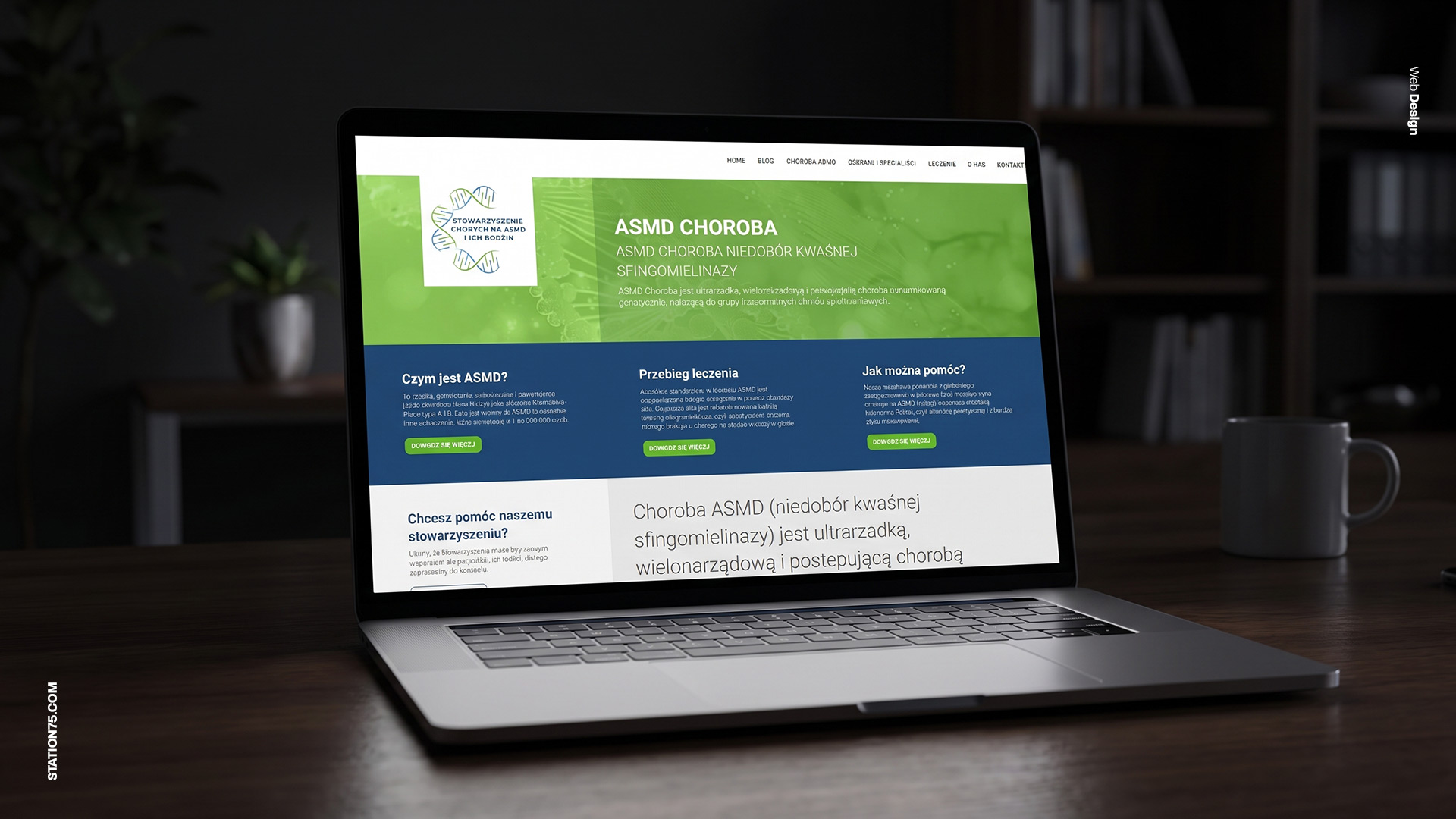 Web design & development vol. 3 - Selected websites 2018-2026